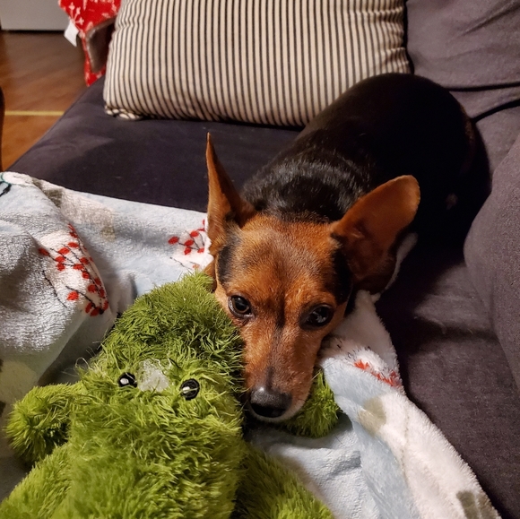 Meet your Posher, Elizabeth - Picture 7 of 7